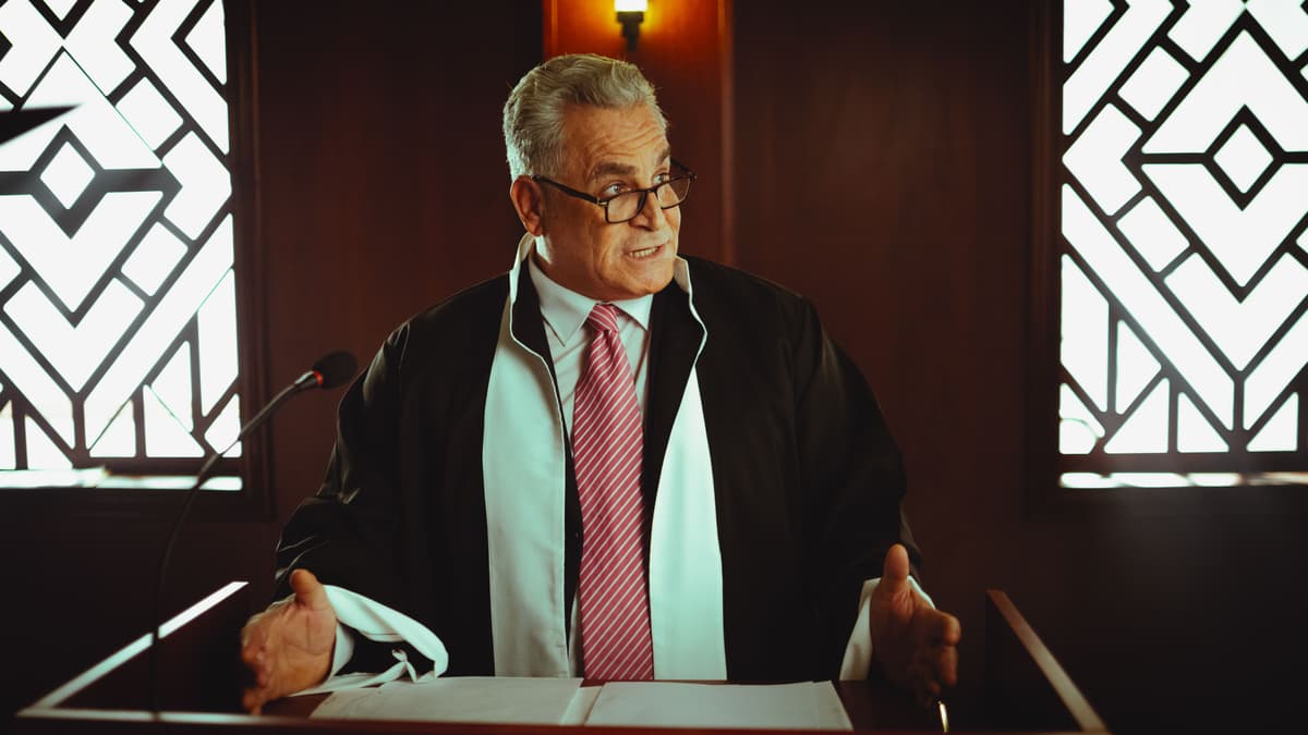 Litigacja